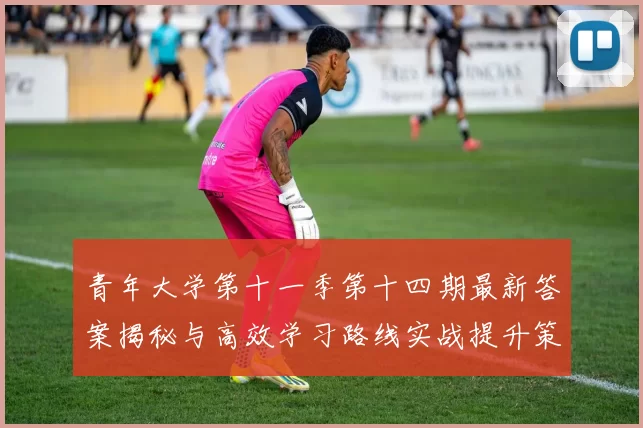 青年大学第十一季第十四期最新答案揭秘与高效学习路线实战提升策