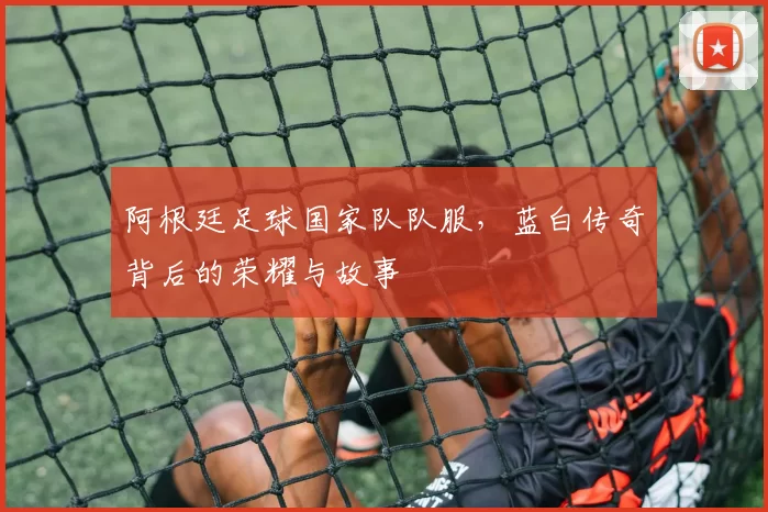 阿根廷足球国家队队服，蓝白传奇背后的荣耀与故事