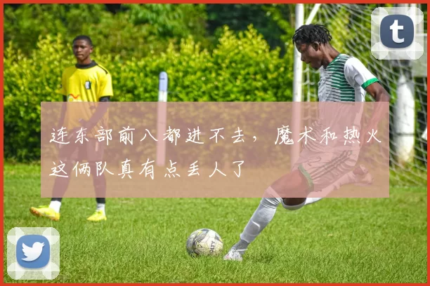 连东部前八都进不去，魔术和热火这俩队真有点丢人了
