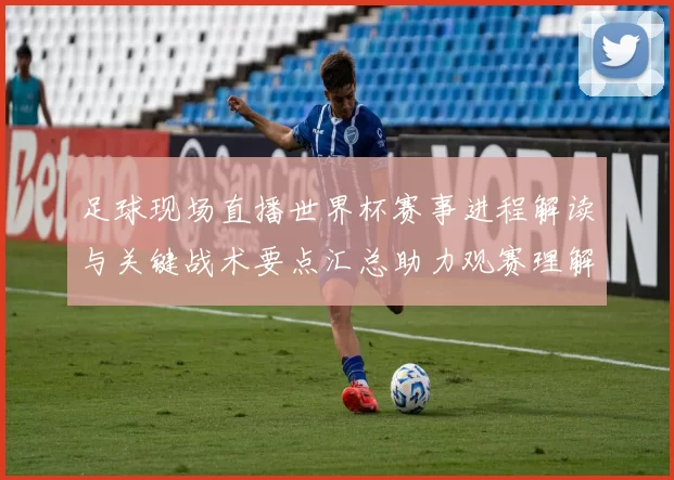 足球现场直播世界杯赛事进程解读与关键战术要点汇总助力观赛理解