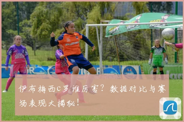 伊布梅西c罗谁厉害?数据对比与赛场表现大揭秘!