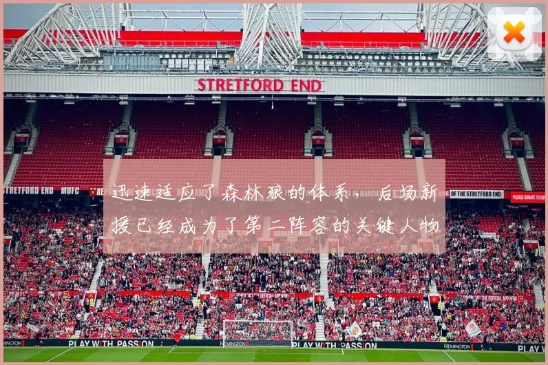 迅速适应了森林狼的体系,后场新援已经成为了第二阵容的关键人物