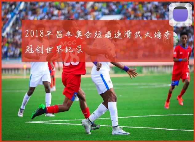 2018平昌冬奥会短道速滑武大靖夺冠创世界纪录