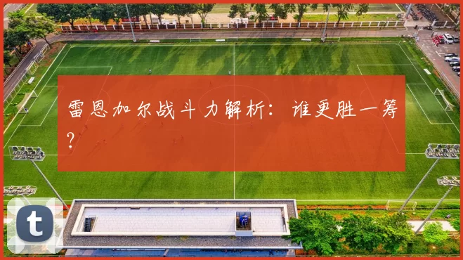 雷恩加尔战斗力解析：谁更胜一筹？