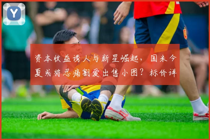 资本收益诱人与新星崛起,国米今夏或将忍痛割爱出售小图?标价详情曝光_马库斯·图拉姆_锋线_欧元