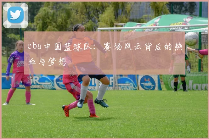 cba中国蓝球队:赛场风云背后的热血与梦想