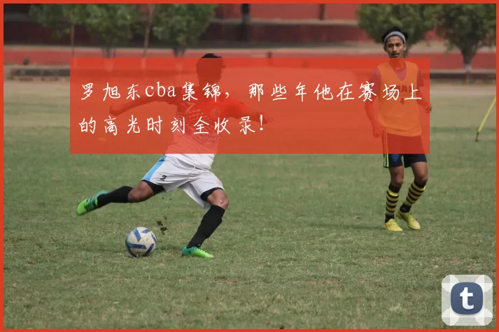 罗旭东cba集锦，那些年他在赛场上的高光时刻全收录！