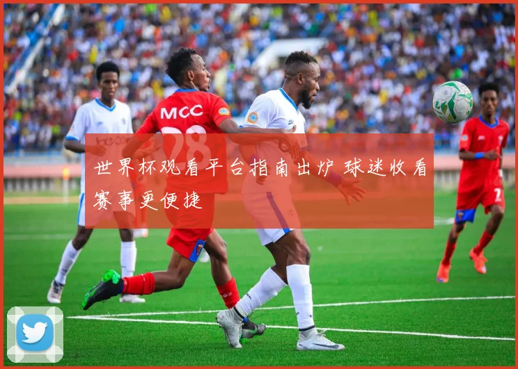 世界杯观看平台指南出炉 球迷收看赛事更便捷