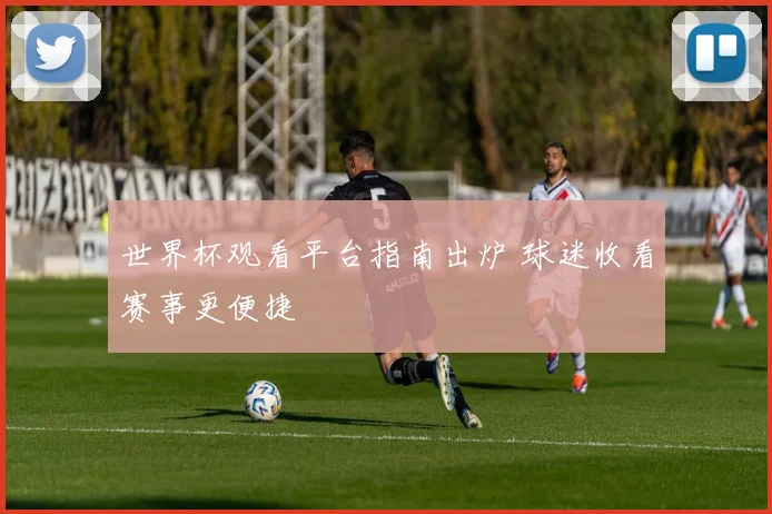 世界杯观看平台指南出炉 球迷收看赛事更便捷